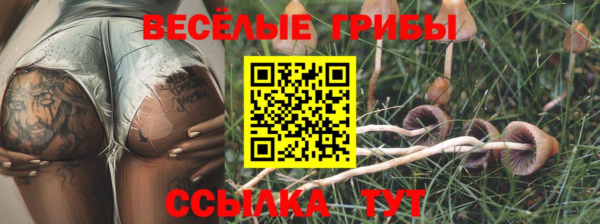Псилоцибиновые грибы Cubensis  Вход с VPN  Галлюциногенные грибы Cubensis  Киселёвск 